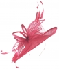 Max and Ellie Ascot Disc Headpiece in Flamingo
