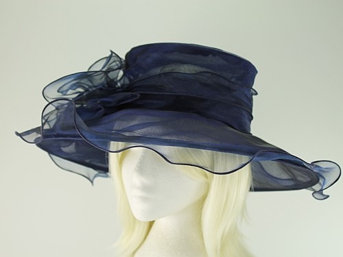 Wide Brimmed Occasion Hat