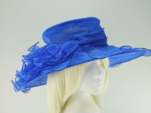 Wide Brimmed Occasion Hat