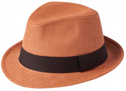 Failsworth Millinery Paperstraw Trilby