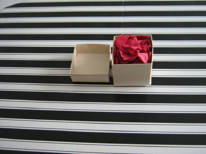 Boxed confetti Mid Burgundy