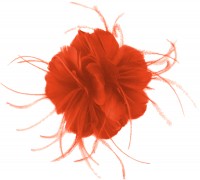 Failsworth Millinery Feather Fascinator