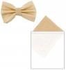 Max and Ellie Mens Bow Tie and Pocket Square Set in Chalk