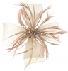 Molly and Rose Biots and Beads Aliceband Fascinator in Nude
