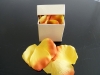 confetti Nectarine and Peach