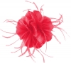 Failsworth Millinery Feather Fascinator in Poppy